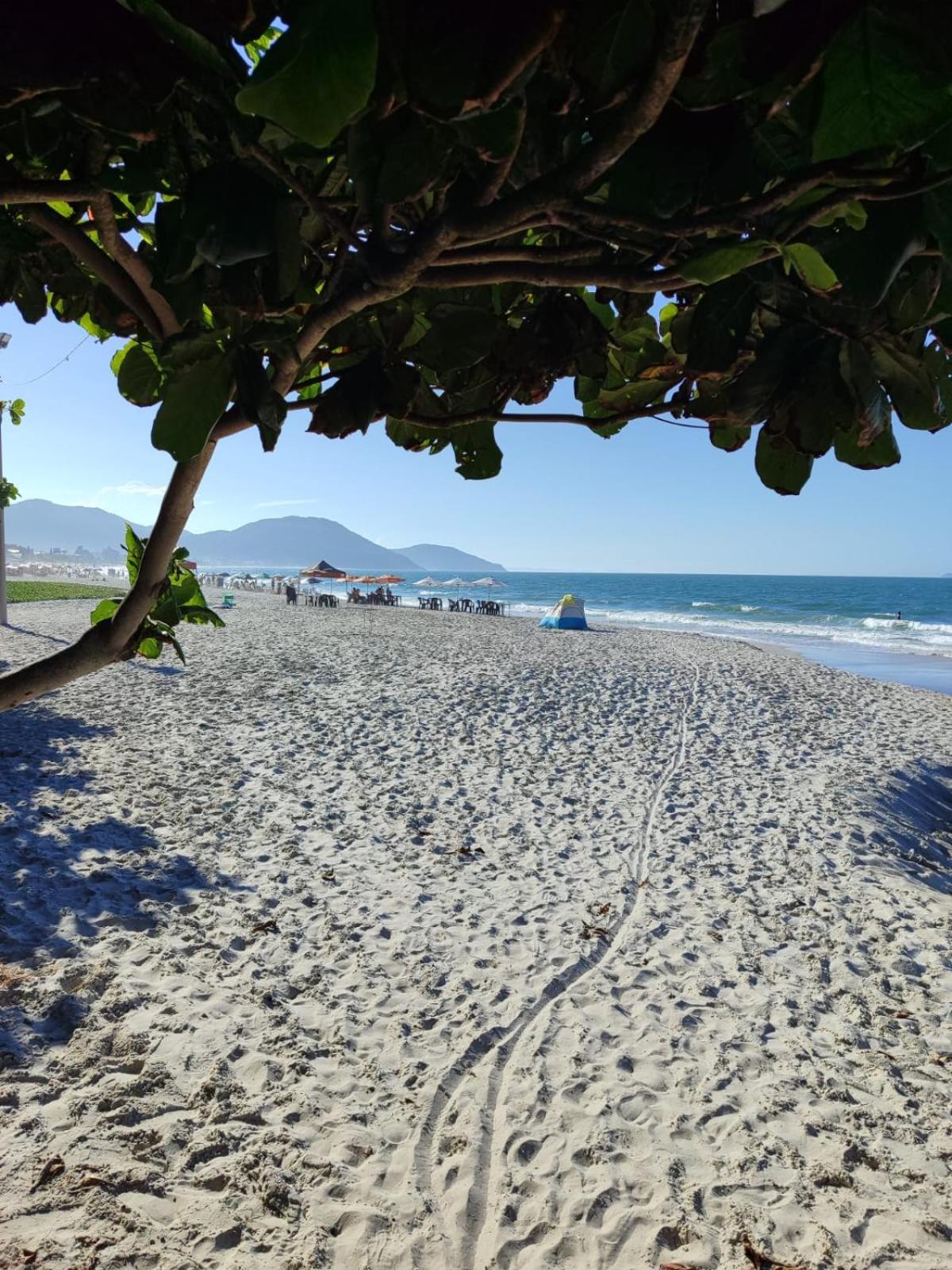 Apartamento De 2 Dormitorios Florianópolis Екстериор снимка